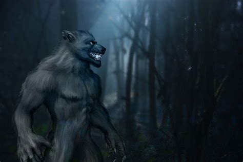 A Strange Historical Account Of Werewolves In Quebec Journalnews
