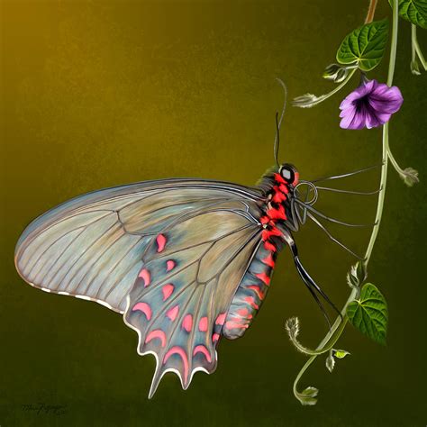 New Ideas 15 Butterflies In Artwork