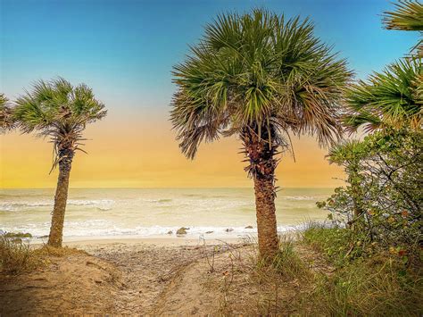 Caspersen Beach Venice Florida At Sunset With Palm Trees Photograph