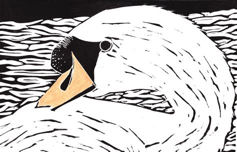 Swan 2016 Linocut By Billie Josef Linocut Original Art Pet Birds