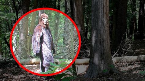 5 Real Bigfoot Caught On Camera And Spotted In Real Life Real Bigfoot