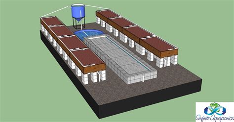 Aquaponics systems are food production systems that facilitate the raising of aquatic animals in tanks, and the cultivation of plants in water. Commercial Aquaponic System Plans : Aquaponics For ...