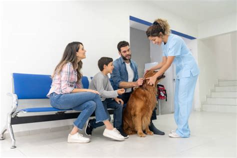 Helping Pet Owners Understand Pet Health Pet Health Care