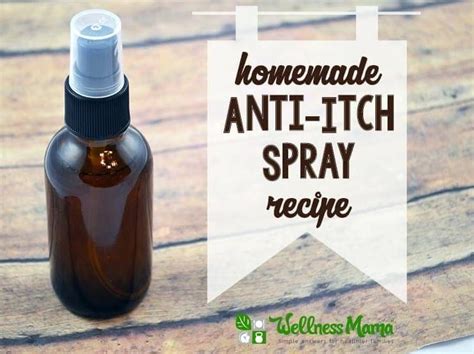 Homemade Anti Itch Spray With Menthol And Aloe Anti Itch Cream