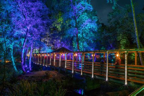 Pictures First Look At Wild New Enchanted Forest The