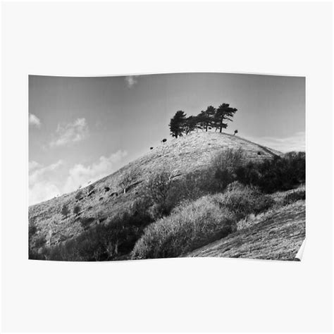 Colmers Hill Black And White Poster For Sale By Inspiraimage