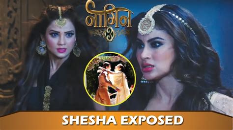 Naagin Shesha Reveals Her Dirty Plan To Shivanya Shivanya In Shock Grand Finale Youtube