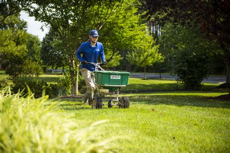 Choose your grass seed type and spread more than normal across days 1 through 3: Treating Your Lawn and Watering After Aeration and Overseeding: Tips for Northern Virginia ...