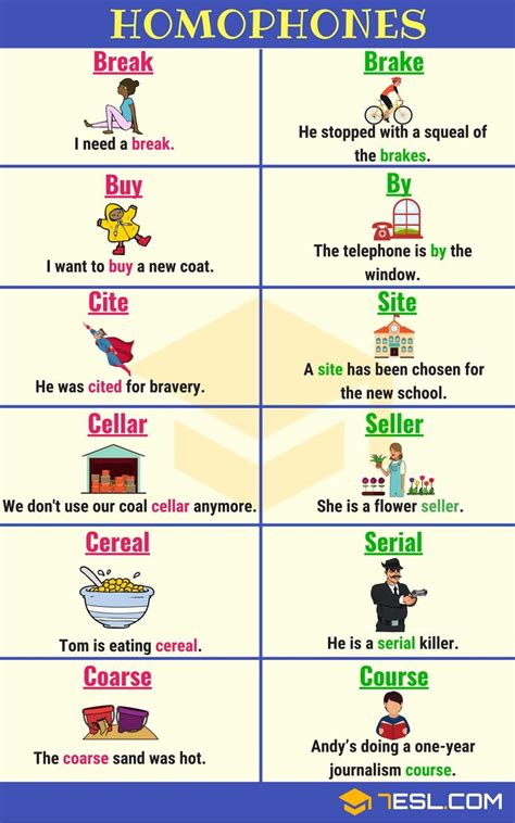 Homonym List Of Homonyms In English With Examples With Images