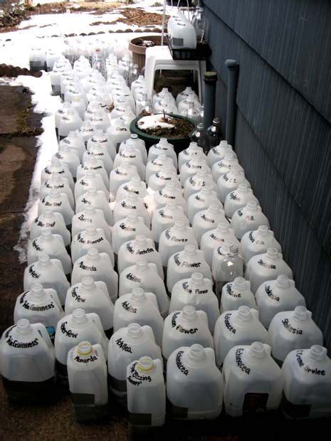 Over 50 Plastic Milk Jugs Here In Progress With Winter