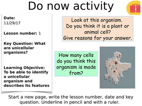 Ks3 Lesson On Unicellular Organisms Teaching Resources