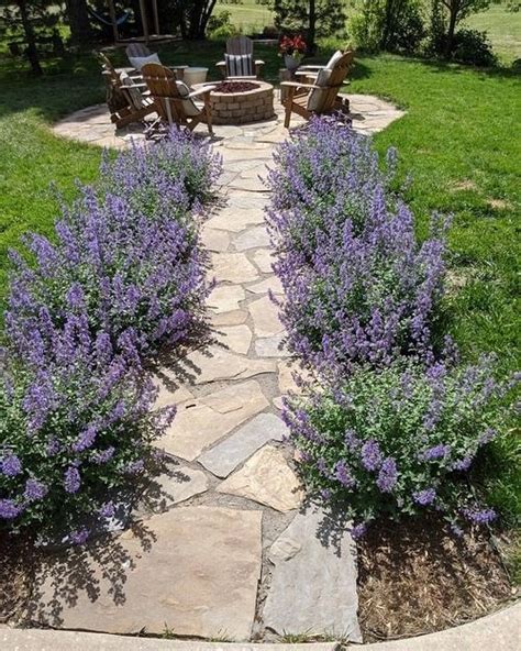 Landscaping With Lavender 25 Lavender Garden Design Ideas Best