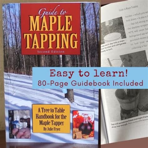Deluxe Maple Tree Tapping Kit 3 Taps With Hooks 3 3 Gallon Sap