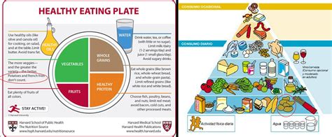 Pirámide De La Alimentación El Nutricionista De La General