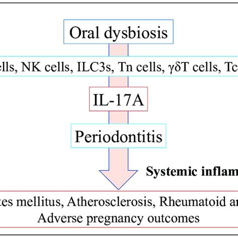 One Possible Mechanism Of Oral Dysbiosis Linking Periodontitis To Download Scientific Diagram