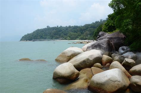 Among the major role of the bank negara malaysia in pulau pinang is the prudent conduct and assist of implementing the order and policy outline by head office in kuala. Penang National Park (Taman Negara Pulau Pinang ...