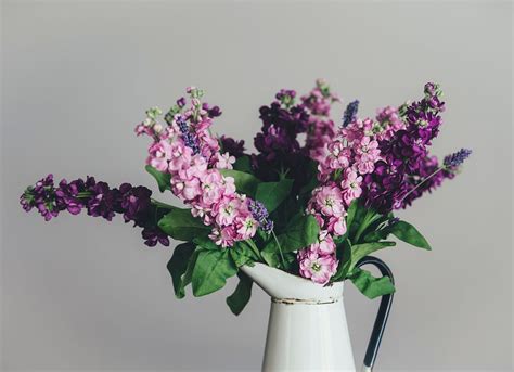 Purple Flowers In A Vase Free Photo Rawpixel