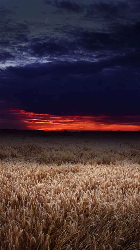 1080x1920 1080x1920 Drought Field Nature Tree Sunset Hd 8k For