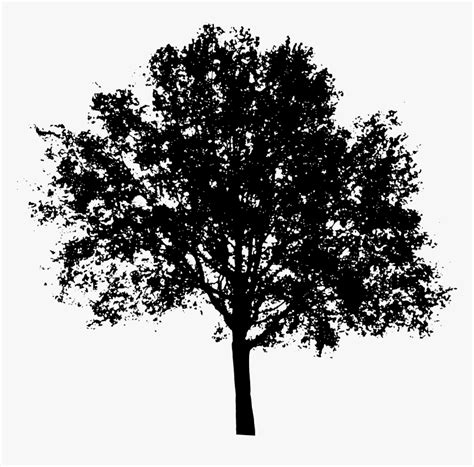 Tree Shadow Png Silhouette Tree Vector Png Transparent Png