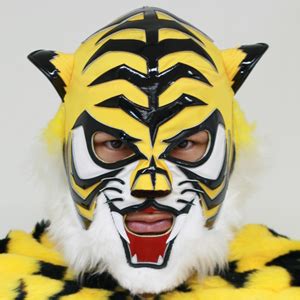 Tiger Mask V Wrestler