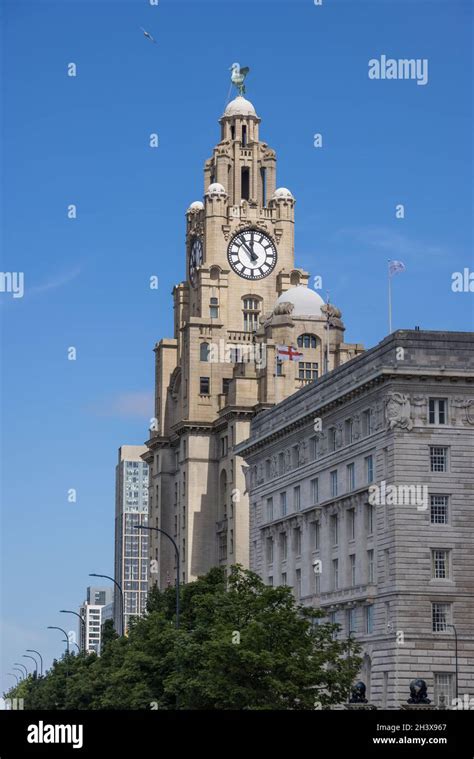 Liverpool Uk July 14 The Royal Liver Building With A Clock Tower