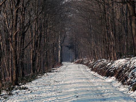 Frozen Road Photograph By Jussi Laasonen Fine Art America