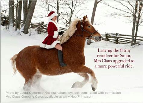 Merry Christmas Horses Horses Horse Girl Problems