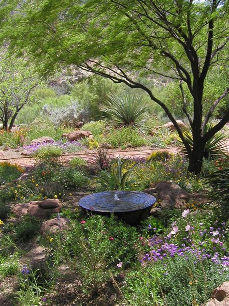 Landscaping With Nature Xeriscape Water Use It Wisely