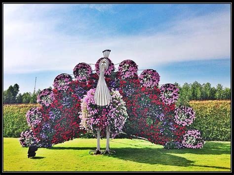 You can see reviews of companies by clicking on them. #dubaigarden | Miracle garden, Garden art, Botanical ...