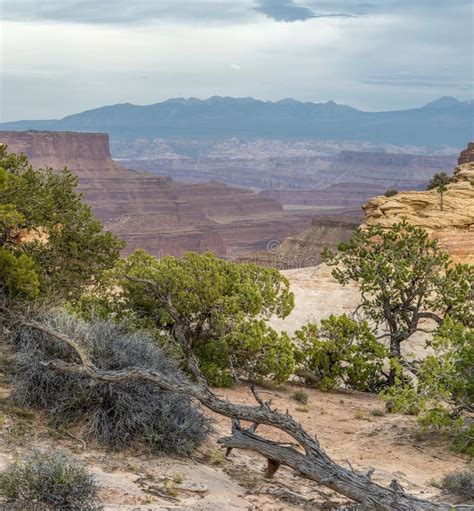 Canyonlands National Park Stock Photo Image Of Clouds 63000230