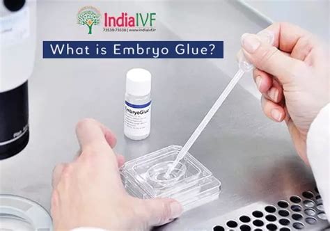 Role Of Embryo Glue In Ivf Boost Your Ivf Success Rates