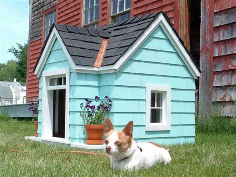 10 Amazing Creative Dog Houses Lizizcon Page 2