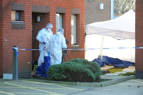 murder probe as prostitute found dead on uk street daily star