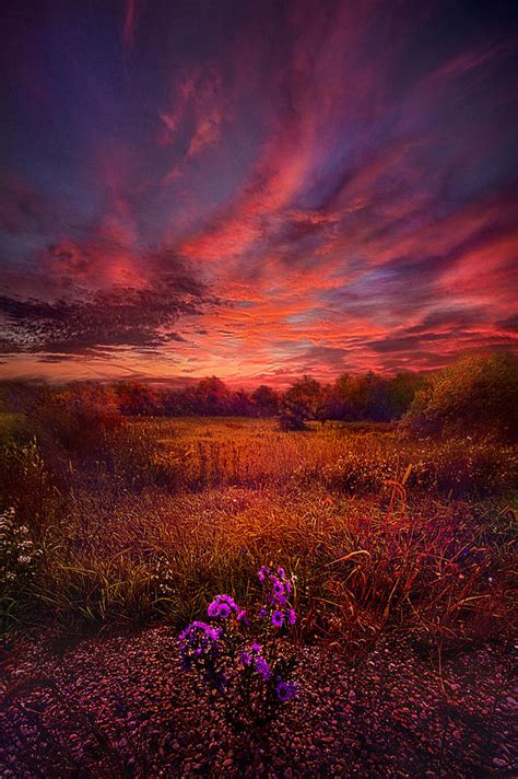 We Find Our Own Story Photograph By Phil Koch Fine Art America
