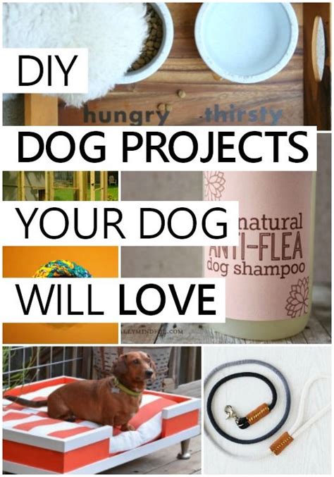 There Is A Collage Of Pictures With Dog Products In Them And The Words