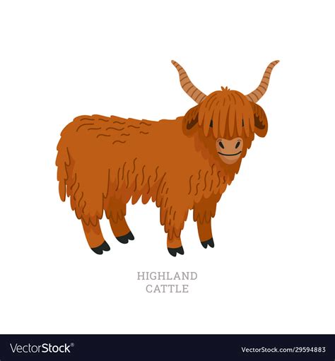 Highland Cow Drawing Cartoon Luanetg