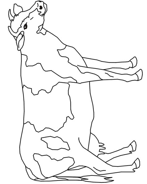 Cow Coloring Pages For Kids Clip Art Library