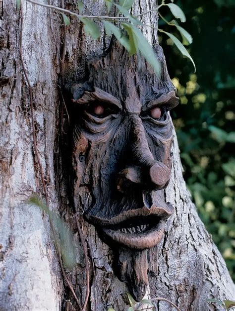 Tree Faces Friendly Ent Tree Face Gardeners Supply Baum Gesichter