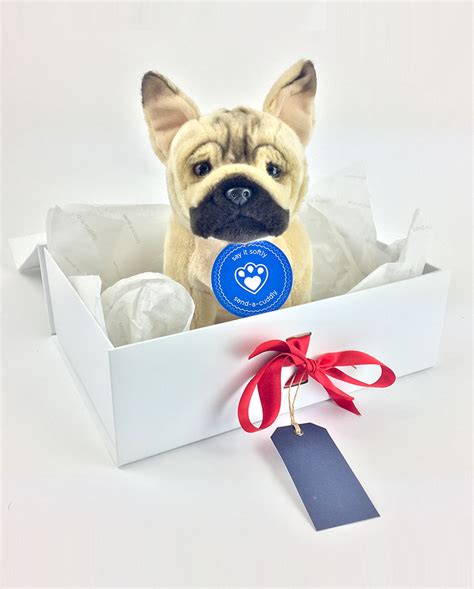 Below, we've rounded up 47 of the best finds on amazon — with all the perks of easy, fast shipping and saved payment information. French Bulldog Soft Toy | French Bulldog Gifts | Send a Cuddly