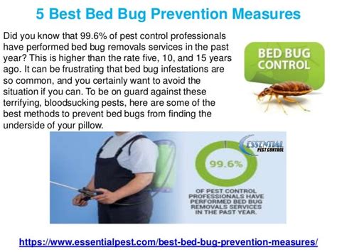 5 Best Bed Bug Prevention Measures