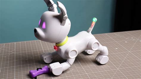Mintid Dog E Review A Robot Dog Thats Almost As Unique As You