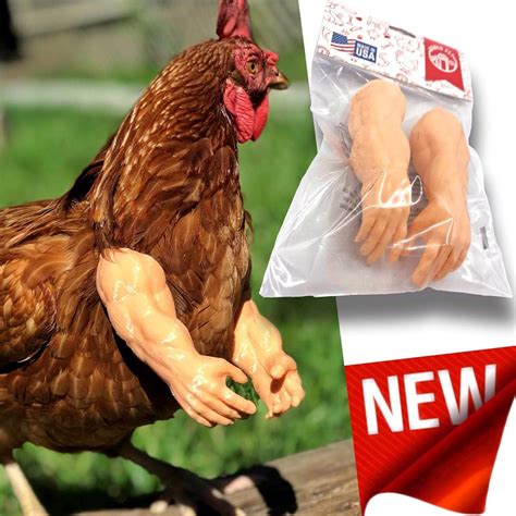 Original Muscle Chicken Arms Gag Gift Chicken Arms For Chicken To Wear Muscle Arms For Bird