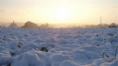 46 Snowy Fields Wallpaper Wallpapersafari