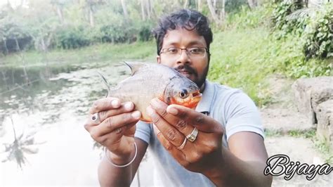 What are some interesting facts about piranha? Fish hunting, traditional fishing, catching piranha,best ...