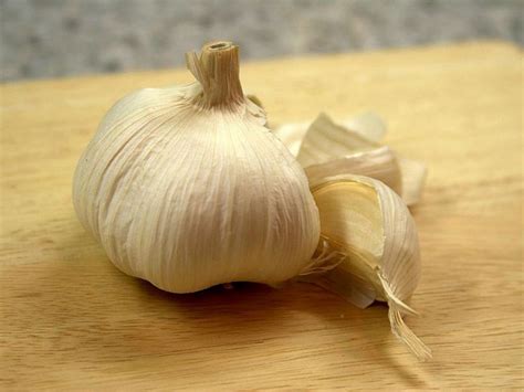 Garlic Medicinal Fact and Folklore | HubPages