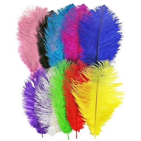 10 12 Long Fluffy Ostrich Feathers Packs Of 1 5 10 20 50 Arts