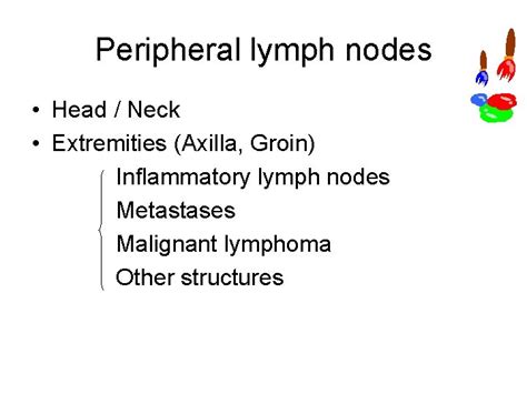 Lymph Nodes Differential Diagnosis In Ultrasound Imaging P