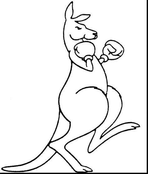 Kangaroo Coloring Page | Free download on ClipArtMag