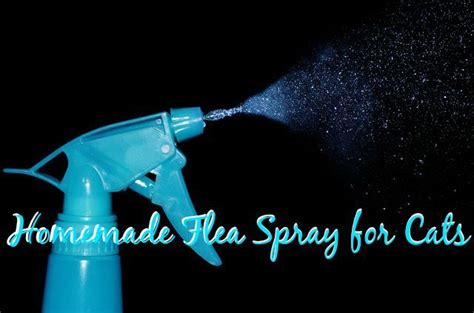 Your One Stop Homemade Flea Spray For Cats Is Right Here On Fluffy