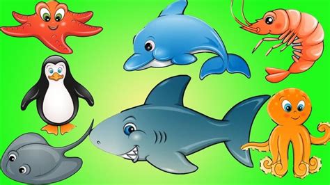 Learn Sea Animals Names For Children Videos Learning For Kids Ocean